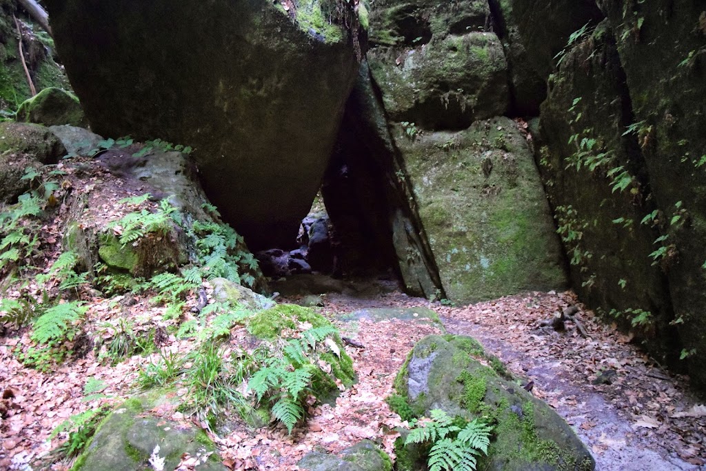 Sächsische Schweiz - Griesgrund und der Bergpfad Stille Gründe