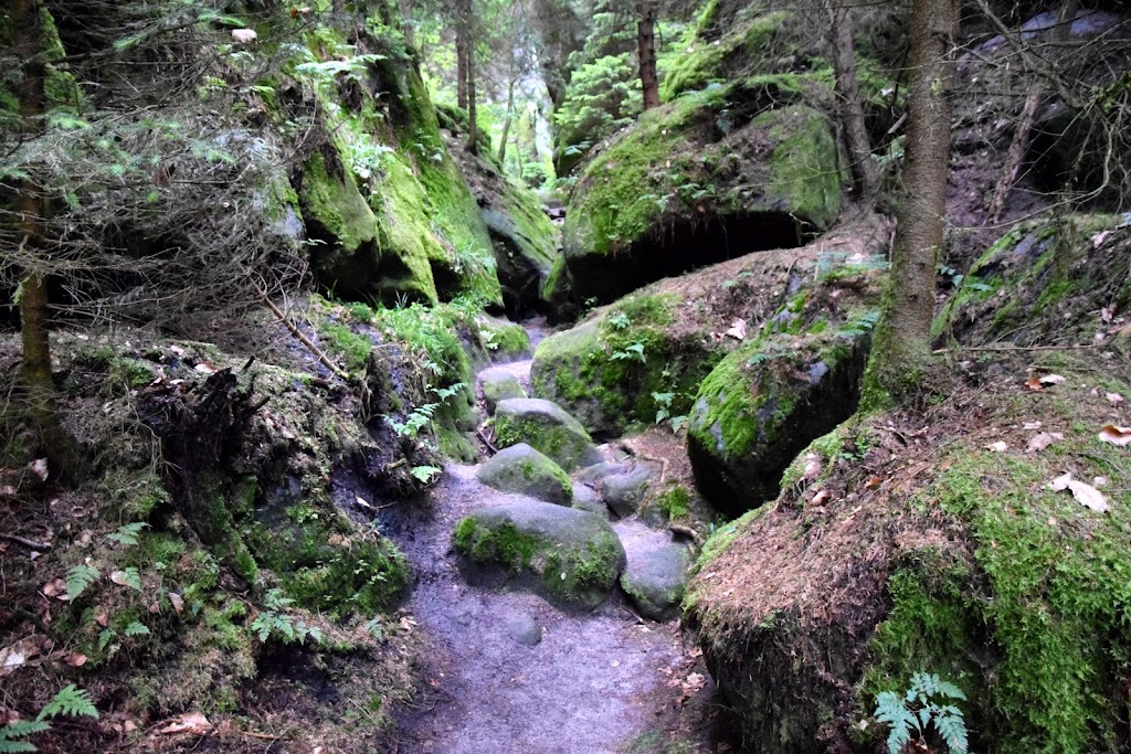 Sächsische Schweiz - Griesgrund und der Bergpfad Stille Gründe