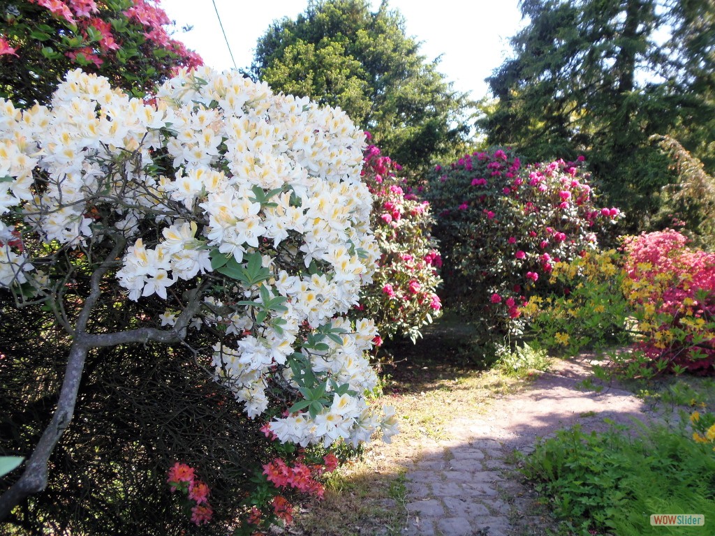 Rhododendronpark Kleine Bastei