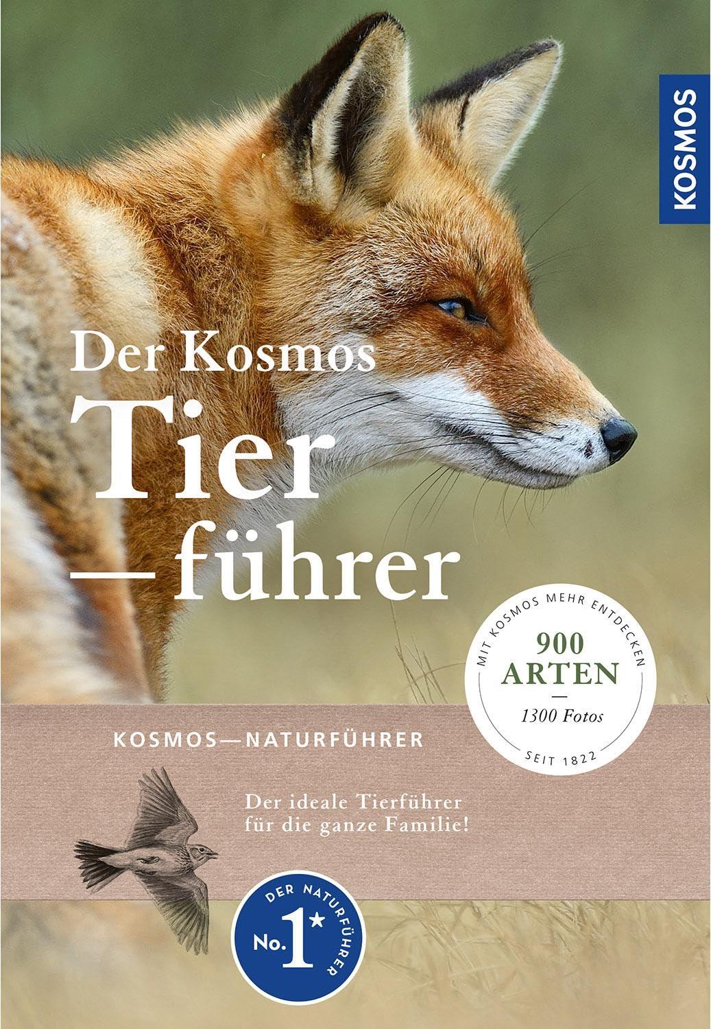 Entdecke die ⁣Natur: Top Naturführer für Kinder ab 6 Jahren