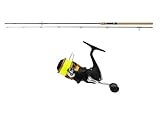 Angelset Spinncombo Daiwa Ninja Spin 2,40m / 15-50g mit Angelrolle FX 3000C