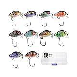 Zite Fishing Mini-Wobbler Set - 10 Ultra-Light Kunst-Köder Box Forelle Barsch - Einzelhaken Forellenwobbler 2,9cm 1,8g