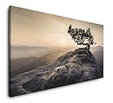 Sächsische Schweiz 120x 60cm Panorama Leinwand Bild XXL Format Wandbilder Wohnzimmer Wohnung Deko Kunstdrucke