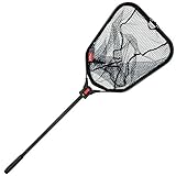 Fox Rage Speedflow II XS Foldable Medium Net 50x58cm - Faltkescher für Zander, Barsch & Hecht, Raubfischkescher, Angelkescher