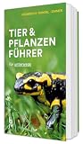 Der BLV Tier & Pflanzenführer: für unterwegs (BLV Naturführer)