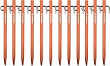 Zeltheringe, AVOFOREST Heringe erdnägel stabil, Heringe Camping, Zeltzubehör, Lange und robuste Erdnägel,ideal für normalen und harten Boden,20cm Ultraleicht Aluminiumlegierung (orange, 12)