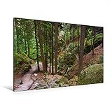CALVENDO Premium Textil-Leinwand 120 x 80 cm Quer-Format Schwedenlöcher im Elbsandsteingebirge, Leinwanddruck von Veronika Rix