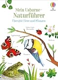 Mein Usborne-Naturführer: Über 250 Tiere und Pflanzen – Bestimmungsbuch für Kinder ab 6 Jahren