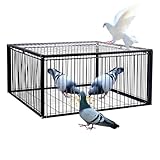ASQUAR Vogelfalle Taubenfalle mit Einweg-Eingang Tierfalle Käfig Leicht Zusammenzubauender Käfig, Taubenkäfig, 2cm Verschlüsselung, Anti-Flucht-Design, Automatische Vogelfalle(100x60x26CM)