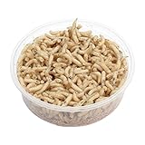 proinsects Maden 1 Liter | Fleischmaden | Angelmaden lebend …