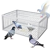 ASQUAR Taubenfallen Tierfalle Käfig mit Einweg-Eingang Einfach Zusammenzubauender Vogelfalle mit Ausbruchsicherem Design Tragbar 4 Importiert Automatische Taubenkäfig(40x30x26CM)