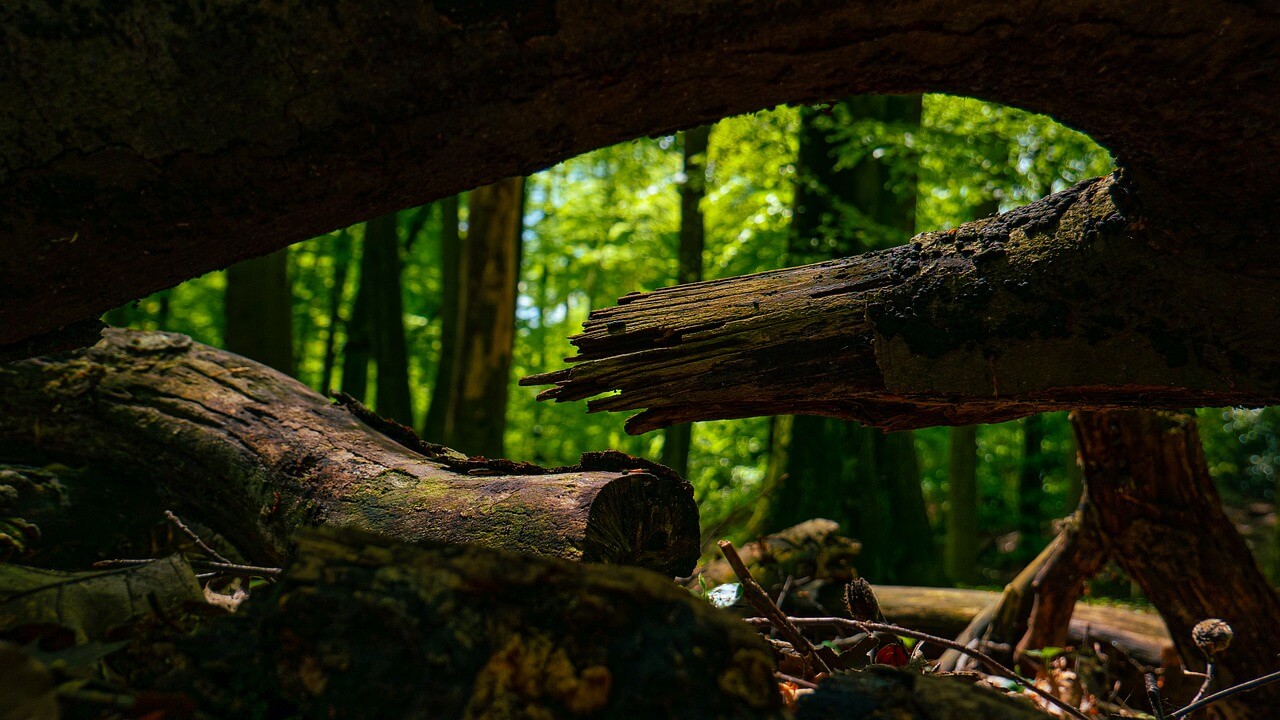 Diese Ausrüstung darf beim Wandern in der Sächsischen Schweiz auf keinen Fall fehlen!