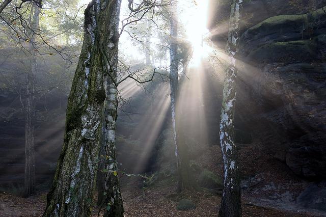 Wanderung auf den Quirl.