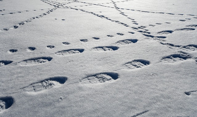 Schneeschuhwandern in der Sächsischen Schweiz