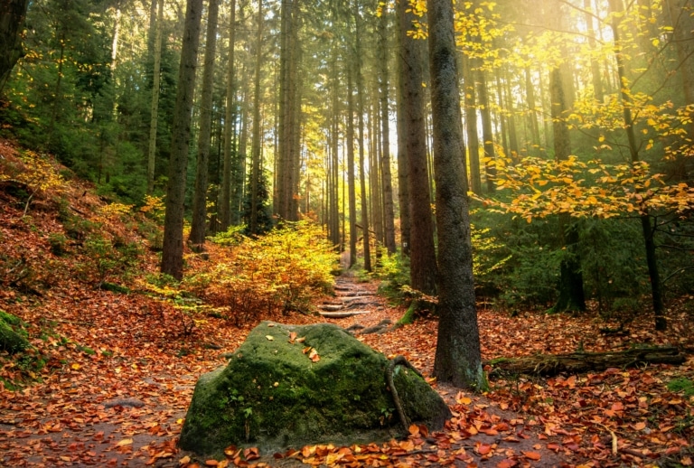 SaechsischeSchweiz00003