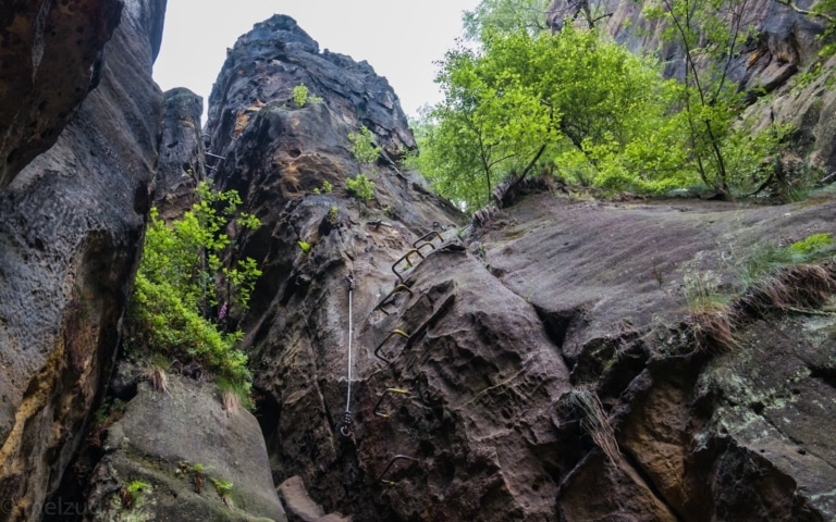 Häntzschelstiege (5)