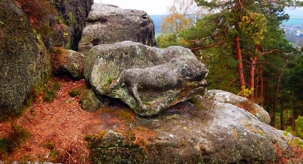 Hier entdecke ich nicht nur alte Treppenstufen, sondern auch zwei imposante Löwen, die von talentierten, jedoch unbekannten Bildhauern aus dem Sandstein gemeißelt wurden.