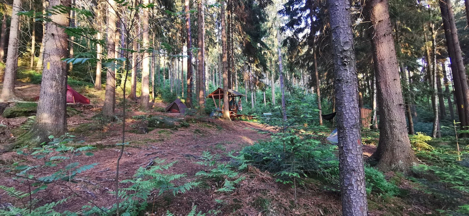 Wanderabenteuer in der Sächsischen Schweiz: Neue Biwakplätze für Naturliebhaber