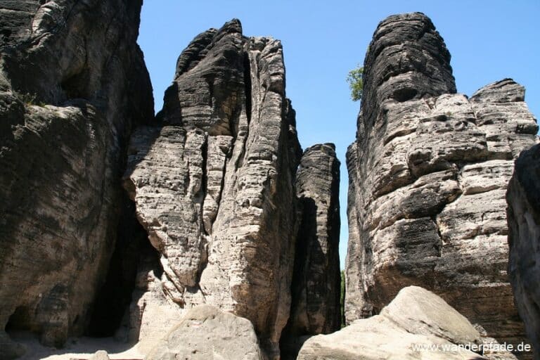 Entdecke die geheimnisvolle Pflanzenwelt der Tyssaer Wände – Ein Naturabenteuer wartet auf dich!