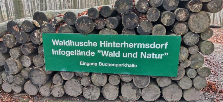 Informationstafel des Nationalparks in der Waldhusche Hinterhermsdorf zum Thema Widderbock & Käferspiel