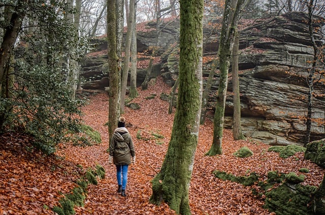 Wandern mit Kids in der Sächsischen Schweiz