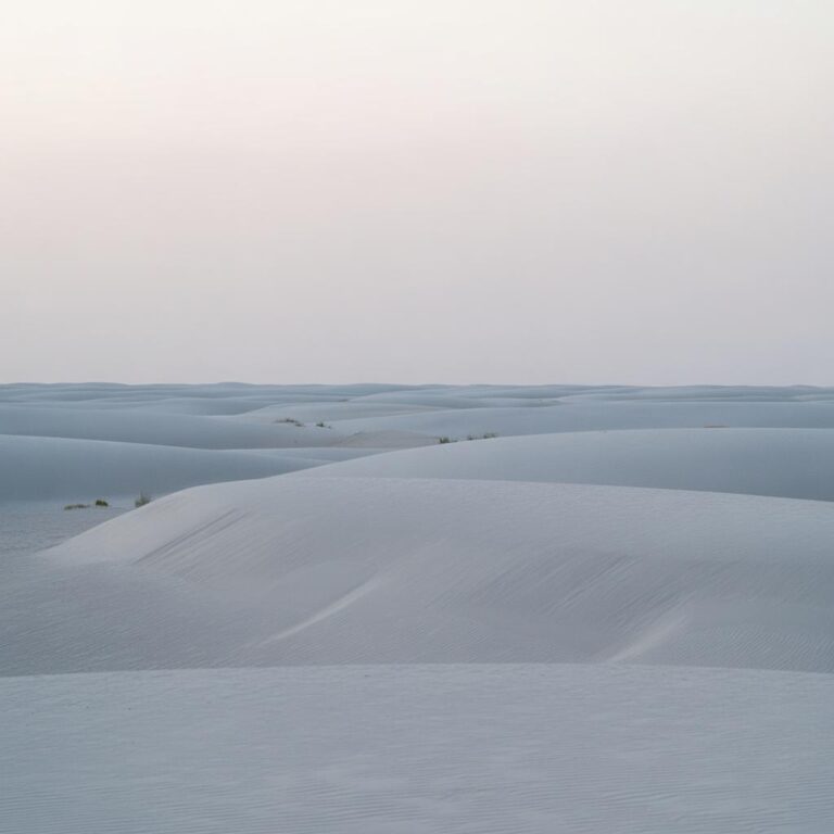 Entdecke märchenhafte Orte im Elbsandstein der Sächsischen Schweiz