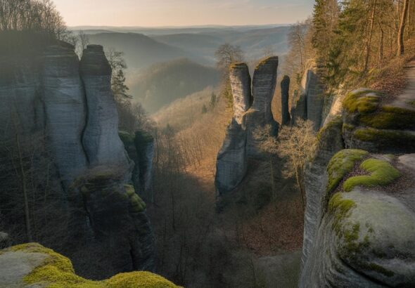?Wandern Sächsische Schweiz mit Hund: Entdecke die schönsten Routen