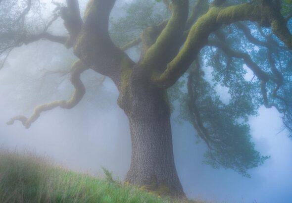 Entdecke die Sächsische Schweiz mit einem Outdoor Messer Wald und Fels