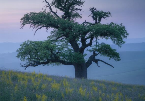 Entdecke das Klettern in den atemberaubenden Affensteinen